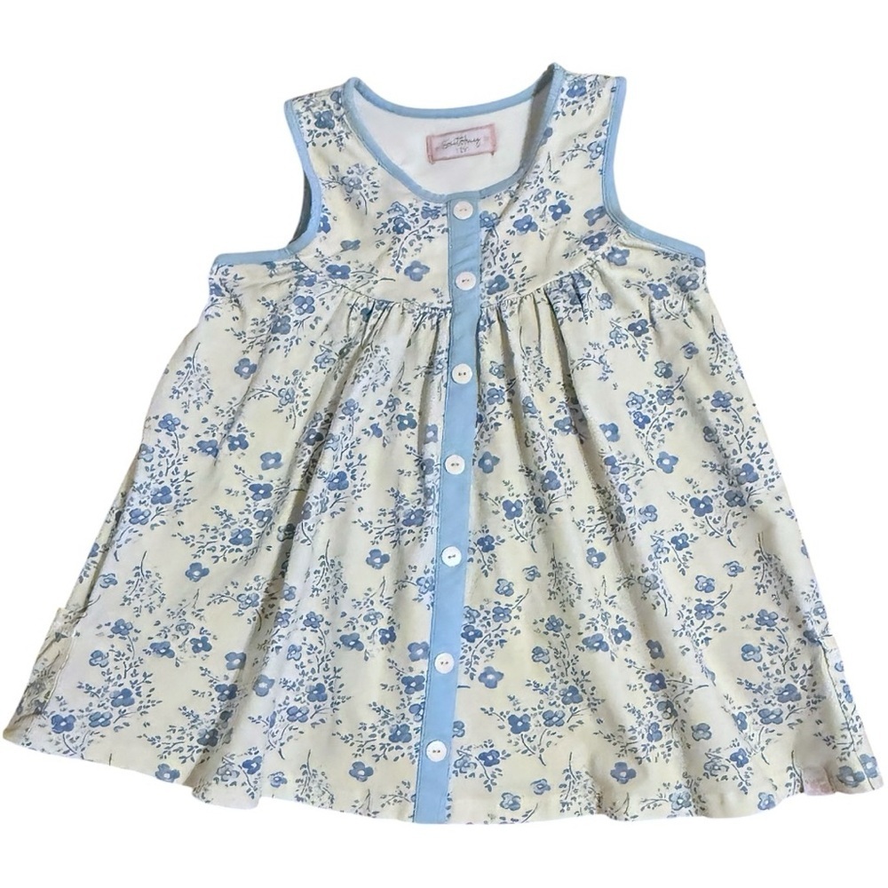 SweetHoney 10Y Blue Floral Button Front Dress Cottagecore